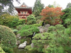 San Francisco Japanese Garden
